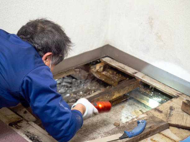 Best Emergency Mold Removal  in Grand Ronde, OR