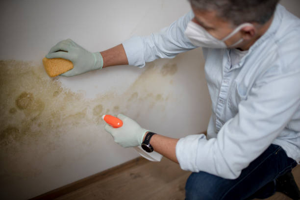 Best Certified Mold Removal  in Grand Ronde, OR
