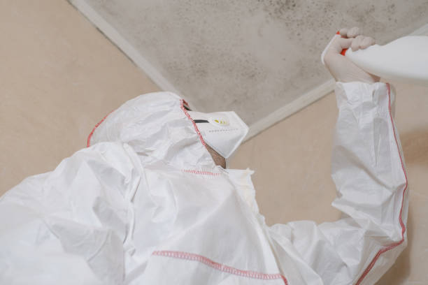 Best Crawl Space Mold Removal  in Grand Ronde, OR