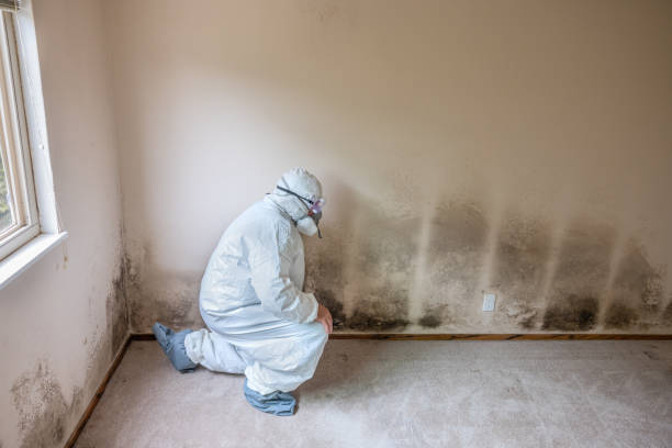 Best Toxic Mold Removal  in Grand Ronde, OR