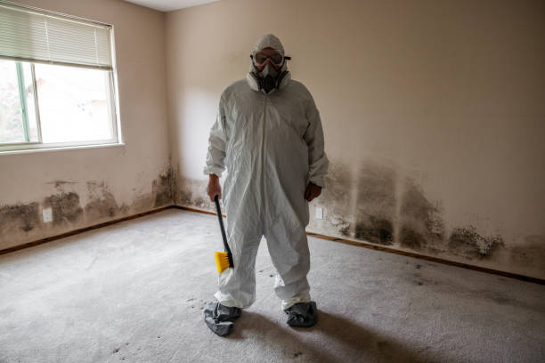Professional Mold Removal in Grand Ronde, OR