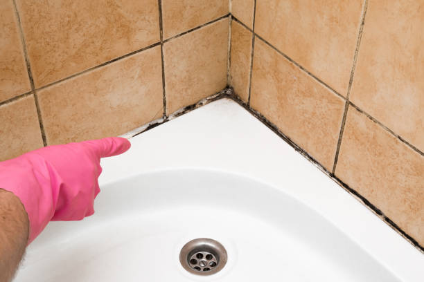 Best Mold Cleaning Services  in Grand Ronde, OR